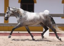 4W5A7140 (Copiar)